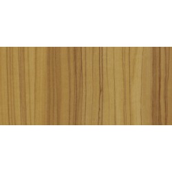 Olivo