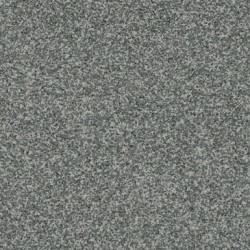 Gris marengo