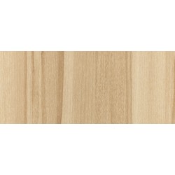 Accent Maple